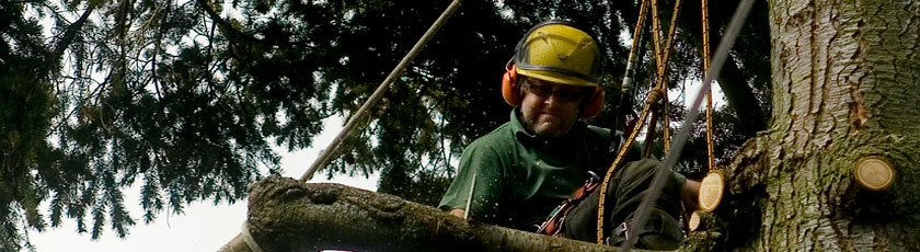 Martin at work